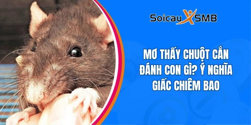 giấc mơ thấy chuột cắn