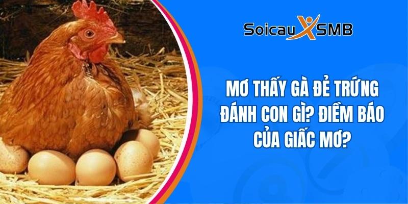 giấc mơ thấy gà đẻ trứng