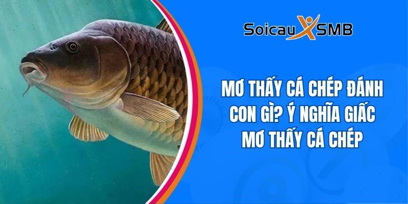 mơ thấy cá chép vàng