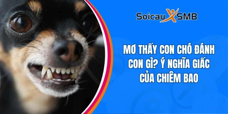 giấc mơ thấy chó