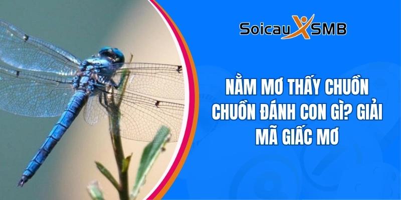 giấc mơ thấy chuồn chuồn