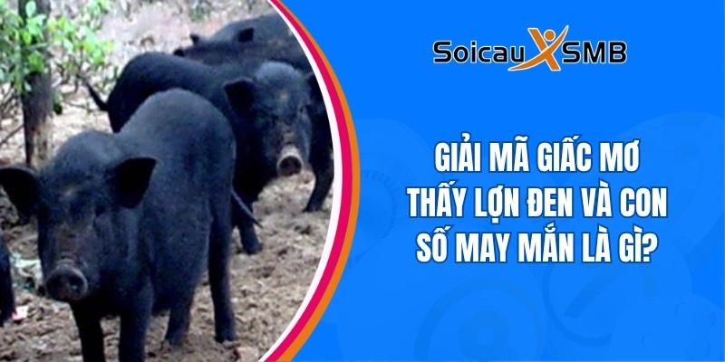 giấc mơ thấy lợn đen