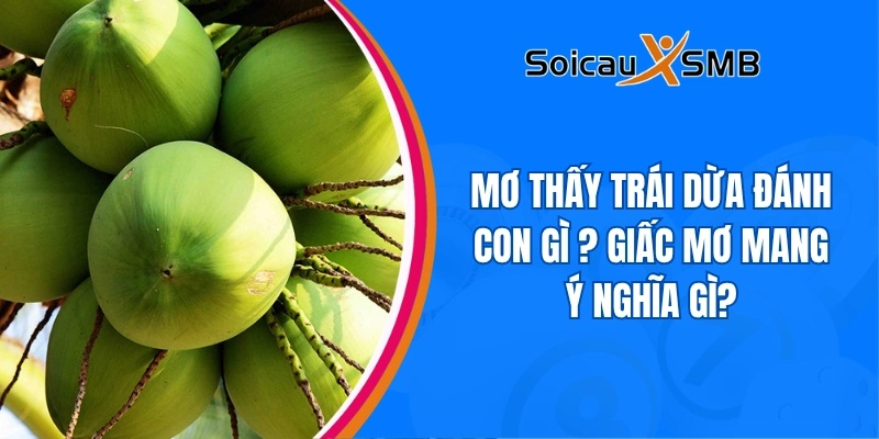 giấc mơ thấy trái dừa
