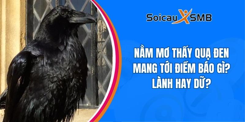 mơ thấy quạ đen