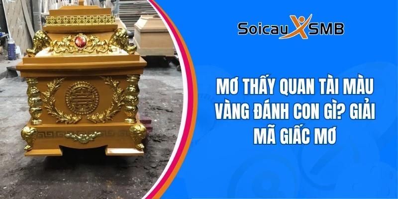 mo thay quan tai mai vang