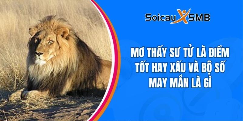 mơ thấy sư tử