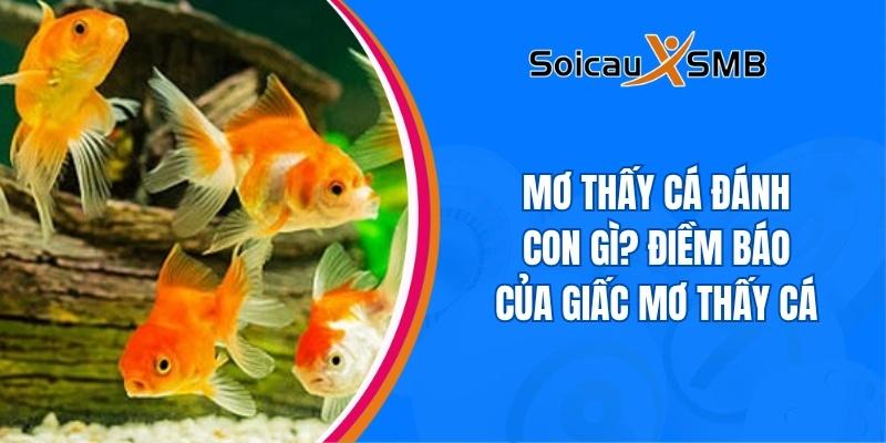 Mơ thấy cá đánh con gì
