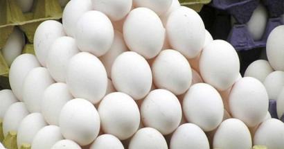 Mơ thấy trứng vịt đánh con gì, có ý nghĩa như thế nào?