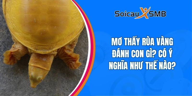 Mơ thấy rùa vàng đánh con gì? Có ý nghĩa như thế nào?