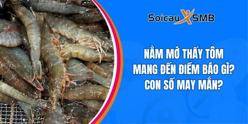 Nằm mớ thấy tôm mang đến điềm báo gì? Con số may mắn?