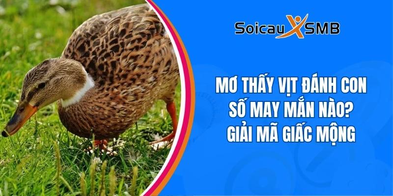 Mơ thấy vịt đánh con số may mắn nào? Giải mã giấc mộng