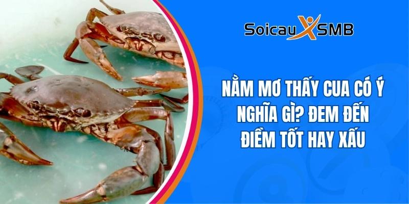 Nằm mơ thấy cua có ý nghĩa gì? Đem đến điềm tốt hay xấu