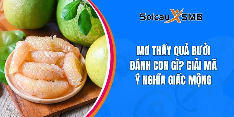 Mơ thấy quả bưởi đánh con gì? Giải mã ý nghĩa giấc mộng