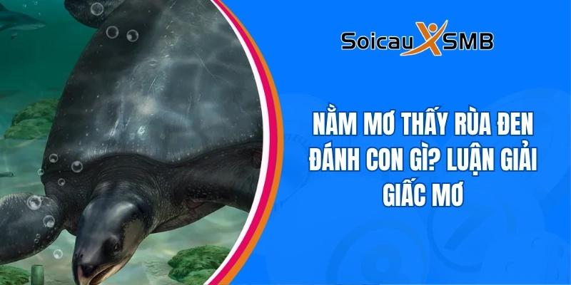 Nằm mơ thấy rùa đen đánh con gì? Luận giải giấc mơ