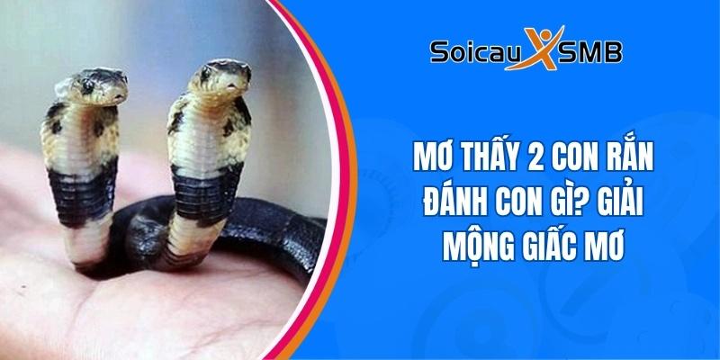 Mơ thấy 2 con rắn đánh con gì? Giải mộng giấc mơ