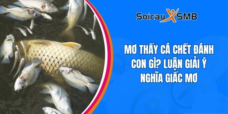 Mơ thấy cá chết đánh con gì? Điềm báo của giấc mơ