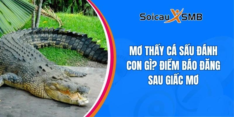 Mơ thấy cá sấu đánh con gì? Điềm báo đăng sau giấc mơ