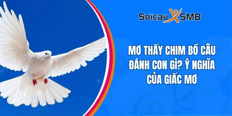 Mơ thấy chim bồ câu đánh con gì? Ý nghĩa của giấc mơ