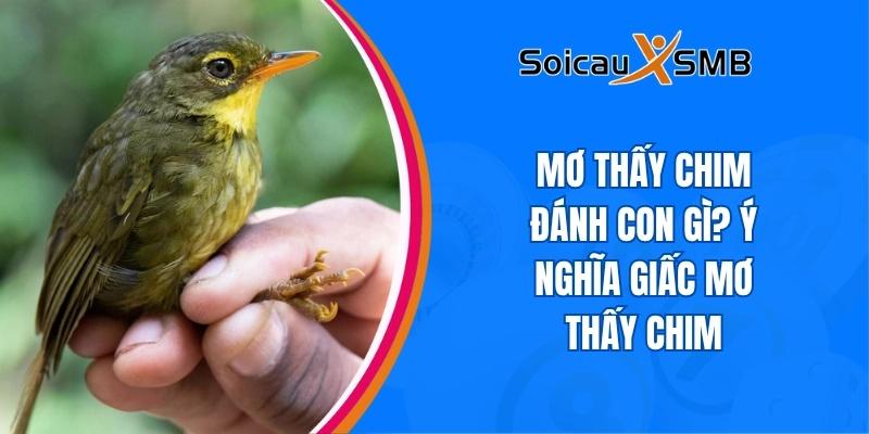 Mơ thấy chim đánh con gì? Ý nghĩa giấc mơ thấy chim