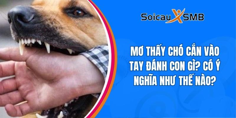 Mơ thấy chó cắn vào tay đánh con gì? Có ý nghĩa như thế nào?