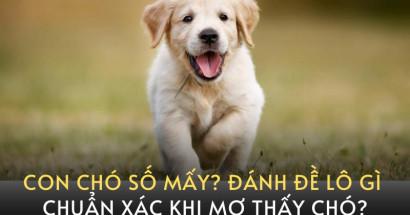 Mơ thấy chó con đánh con gì? Luận giải ý nghĩa giấc mơ