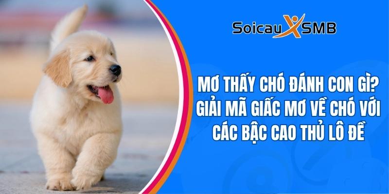 Mơ thấy chó đánh con gì? Giải mã giấc mơ về chó với các bậc cao thủ lô đề