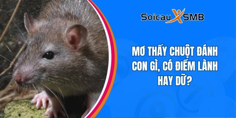 Mơ thấy chuột đánh con gì, có điềm lành hay dữ?
