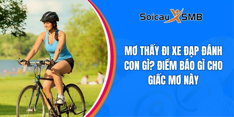 Mơ thấy đi xe đạp đánh con gì? Điềm báo gì cho giấc mơ này