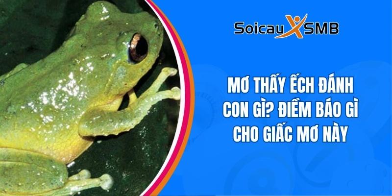 Mơ thấy ếch đánh con gì? Điềm báo gì cho giấc mơ này