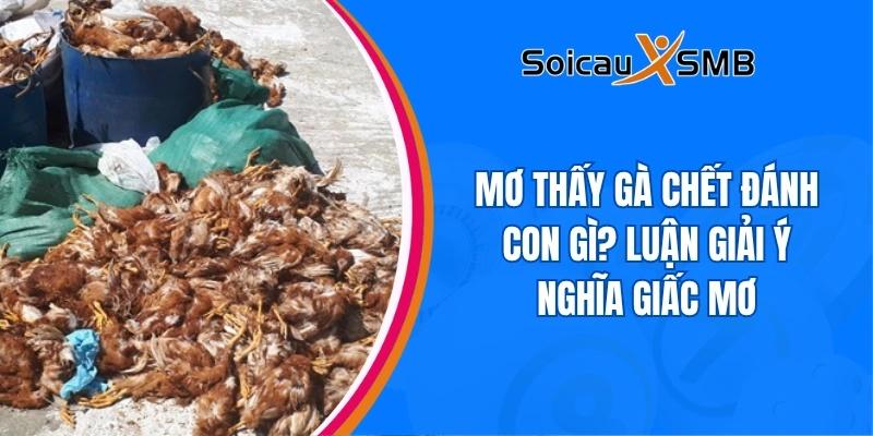 Mơ thấy gà chết đánh con gì? Luận giải ý nghĩa giấc mơ