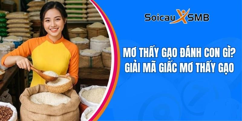 Mơ thấy gạo đánh con gì? Giải mã giấc mơ thấy gạo