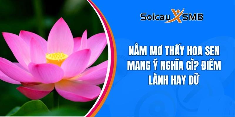 Nằm mơ thấy hoa sen mang ý nghĩa gì? Điềm lành hay dữ