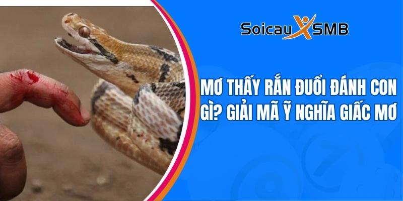 Mơ thấy rắn đuổi đánh con gì? Ý nghĩa của giấc mơ