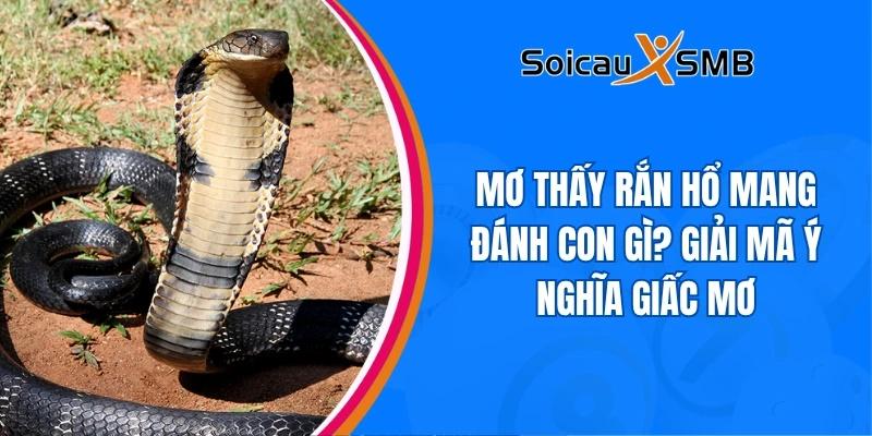 Mơ thấy rắn hổ mang đánh con gì? Giải mã ý nghĩa giấc mơ