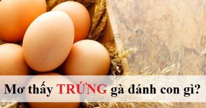 Mơ thấy trứng gà đánh con gì? Giải mã nội dung giấc mơ