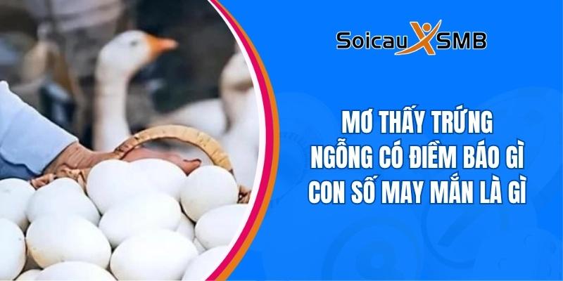 Mơ thấy trứng ngỗng có điềm báo gì Con số may mắn là gì
