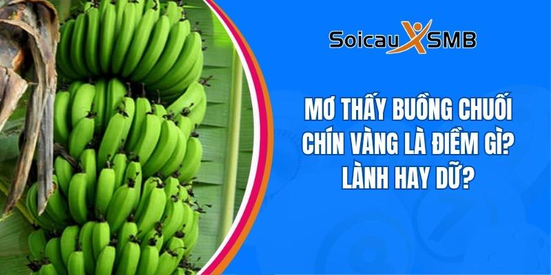 Mơ thấy buồng chuối chín vàng là điềm gì? Lành hay dữ?