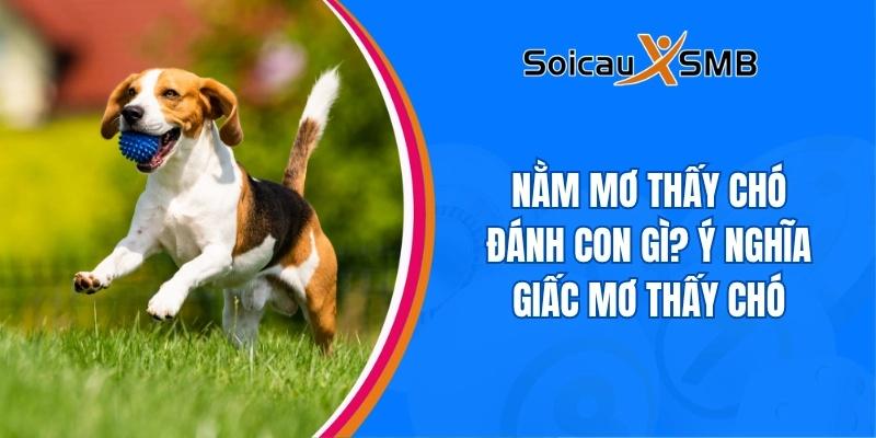 Nằm mơ thấy chó đánh con gì? Ý nghĩa giấc mơ thấy chó